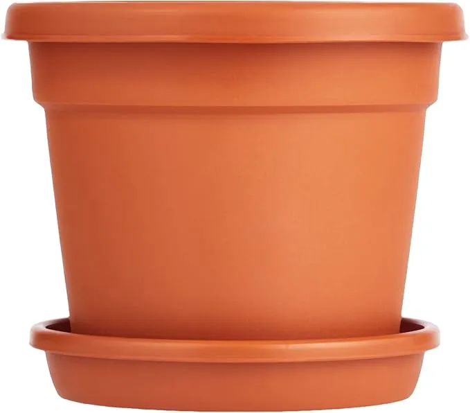 Cosmoplast Plastic Round Flowerpot