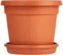 Cosmoplast Plastic Round Flowerpot